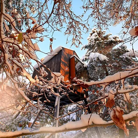 Dom wakacyjny Escape To The Czech Republic In Wonderful Tree House In Nature *