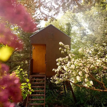 Escape To The Czech Republic In Wonderful Tree House In Nature * Praga